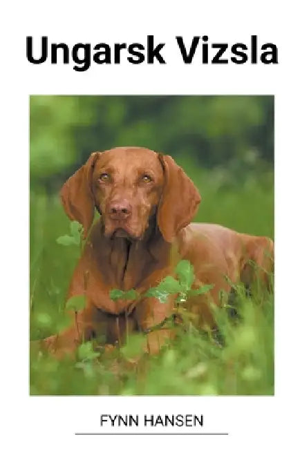 Ungarsk Vizsla by Fynn Hansen