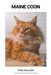 Maine Coon by Finn Nielsen