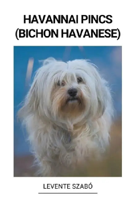 Havannai Pincs (Bichon Havanese) by Levente Szabó