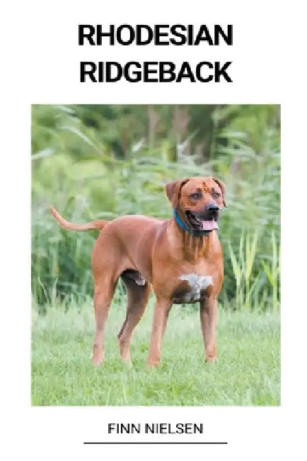 Rhodesian ridgeback by Finn Nielsen