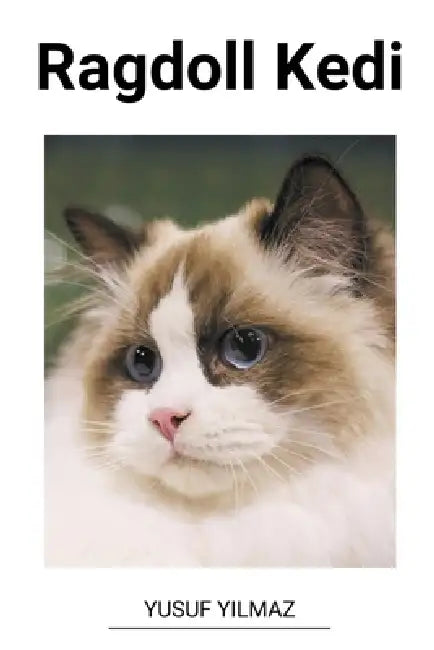 Ragdoll Kedi by Yusuf Yilmaz