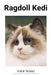 Ragdoll Kedi by Yusuf Yilmaz