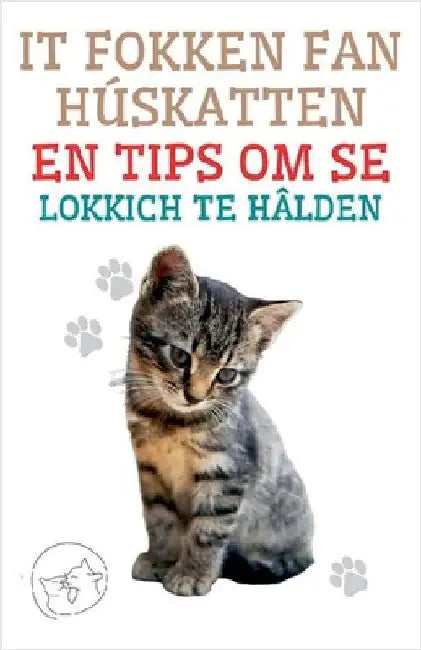 It Fokken fan Húskatten en Tips om se Lokkich te Hâlden by Pinto, Edwin