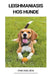 Leishmaniasis hos hunde by Finn Nielsen