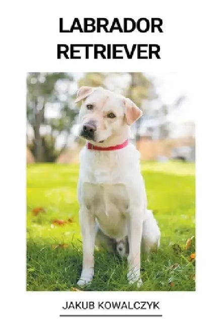 Labrador Retriever by Jakub Kowalczyk