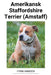Amerikansk Staffordshire Terrier (Amstaff) by Fynn Hansen