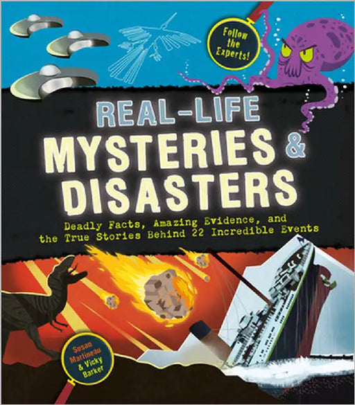 Real-Life Mysteries & Disasters: Deadly Facts, Amazing Evidence, and the True Stories Behind 22 Incredible Events by Susan Martineau