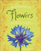 An Anthology of Flowers: A Collection of Flowers from Gardens, Mountains and More, with Fascinating Secrets by DK