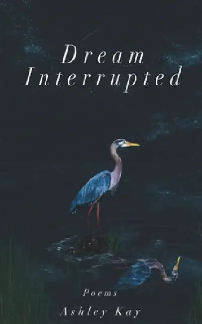 Dream Interrupted: Poems by Ashley Kay