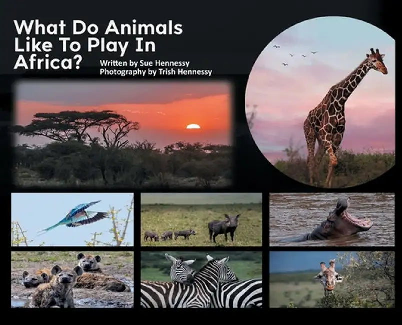 What Do Animals Like To Play in Africa by Susan Hennessy