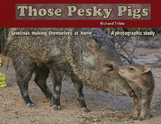 Those Pesky Pigs: Javelinas making themselves at home A photographic study by Richard C. Trible