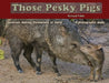 Those Pesky Pigs: Javelinas making themselves at home A photographic study by Richard C. Trible
