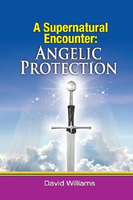 A Supernatural Encounter Angelic Protection by David R Williams