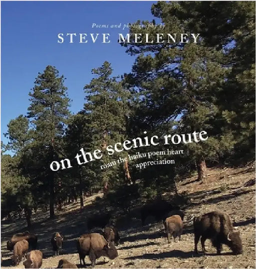 On The Scenic Route: roam the haiku poem heart appreciation by Meleney, Steve
