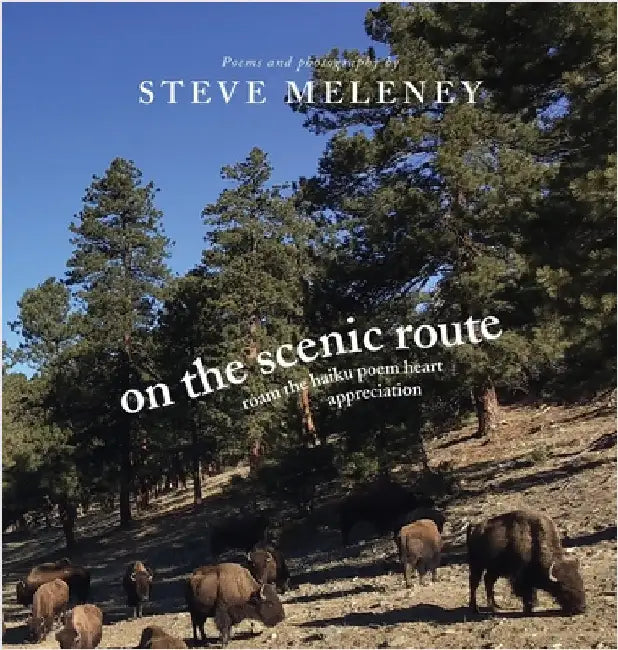 On The Scenic Route: roam the haiku poem heart appreciation by Meleney, Steve