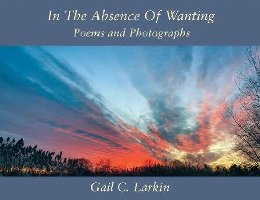 In The Absence Of Wanting: Poems and Photographs by Gail C. Larkin