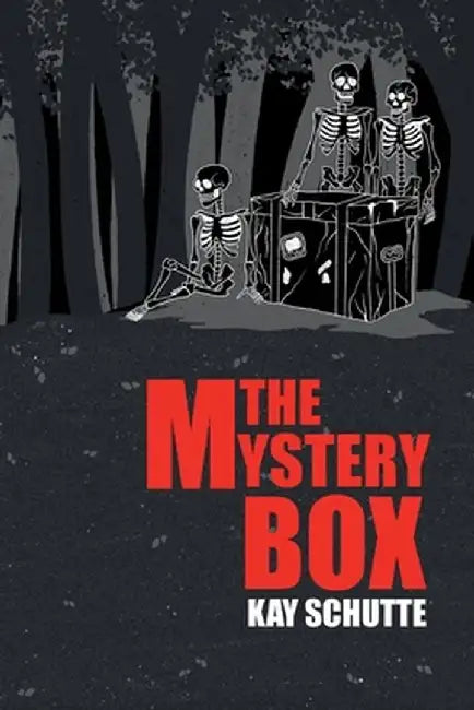 The Mystery Box by Kay Schutte