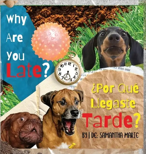 Why Are You Late? by Samantha Marie