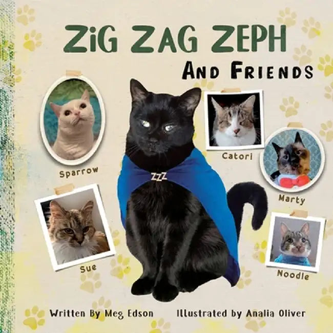 Zig Zag Zeph and Friends by Meg Edson