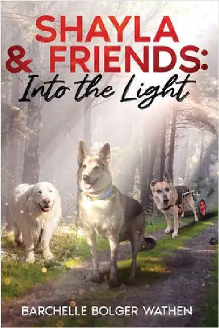 Shayla & Friends: Into the Light by Barchelle Bolger Wathen