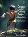 Cayey and the Funny Coqui Adventure Cayey y la aventura cómica del coquí by Baez, Doris Vega