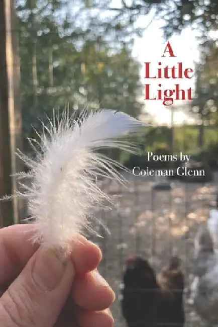 A Little Light: Poems by Coleman Glenn
