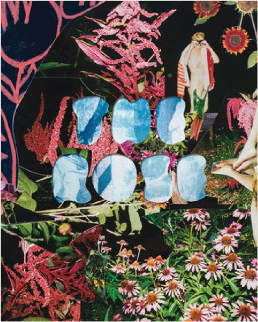 The Rose: A Circular Genealogy of Collage: Curated by Justine Kurland by Justine Kurland, Sarah Miller Meigs, Libby Werbel