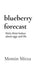 blueberry forecast: thirty three haikus about eggs and life by Momin Mirza