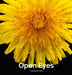 Open Eyes by Andrew B. Clark