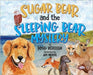 Sugar Bear and the Sleeping Bear Mystery by Verellen, Doug