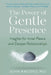 The Power of Gentle Presence by John Amodeo
