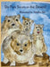 Do Fish Swim in the Desert? by Tabitha Orr, Tabitha Orr