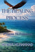 The healing process by Shakiyl Muhammad