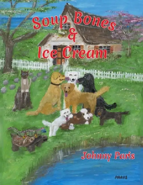 Soup Bones & Ice Cream by Johnny Paris