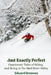 Just Exactly Perfect: Cautionary Tales of Skiing and Being in the Mad River Valley: Cautionary Tales of Skiing and Being in the Mad River Valley: Caut by Edward J. Brennan