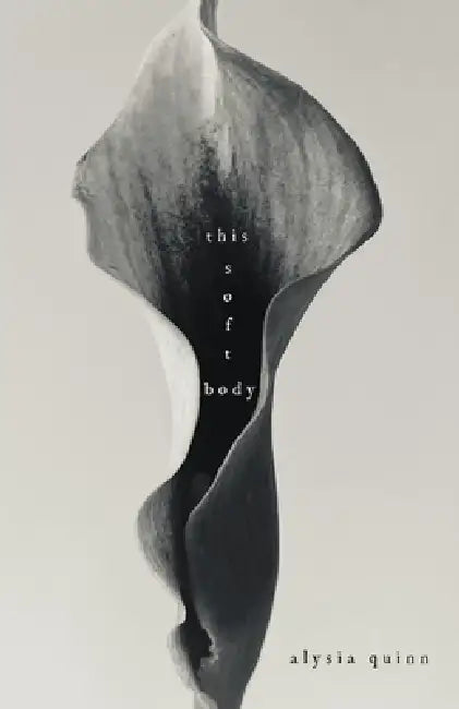 this soft body by Alysia Quinn