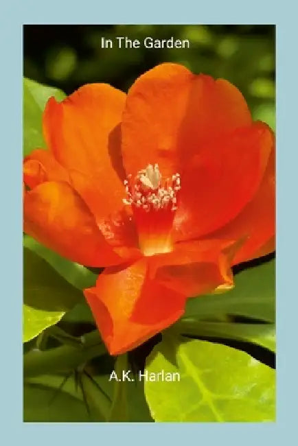 In the Garden by Anne Harlan, Anne Harlan