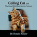 Ceiling Cat and the Great Cat Distribution System by Donna Sauer