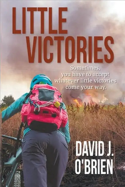Little Victories by David J. O'Brien