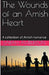 The Wounds of an Amish Heart by Sarah Amberson