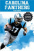 Carolina Panthers Fun Facts by Trivia Ape