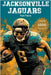 Jacksonville Jaguars Fun Facts by Ape, Trivia