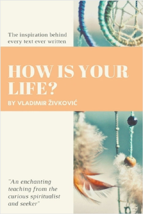 How Is Your Life? by Vladimir Zivkovic