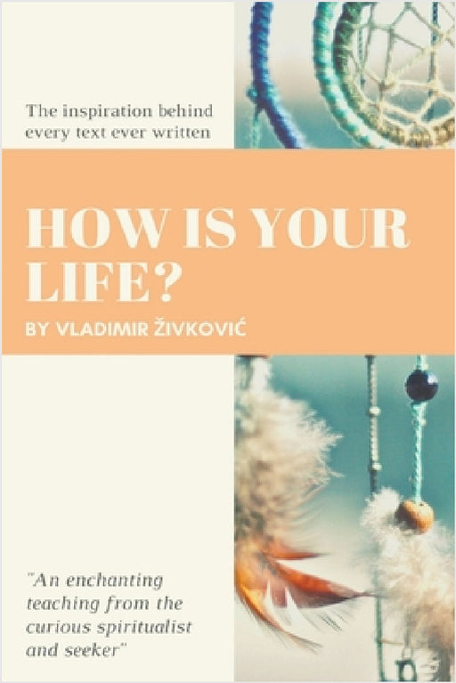 How Is Your Life? by Vladimir Zivkovic