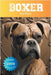 Boxer Fun Facts by Ape, Trivia