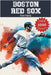 Boston Red Sox Fun Facts by Ape, Trivia