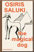 Osiris Saluki, the magical dog by Fanny Mouchet