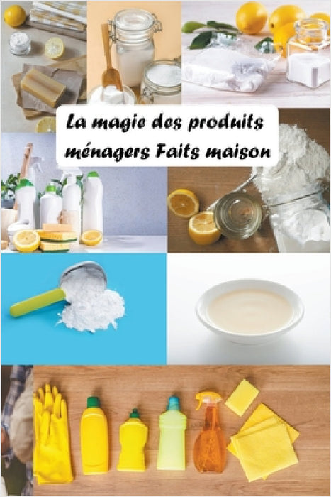 La Magie des Produits Ménagers Faits Maison by Saura