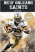 New Orleans Saints Fun Facts by Trivia Ape