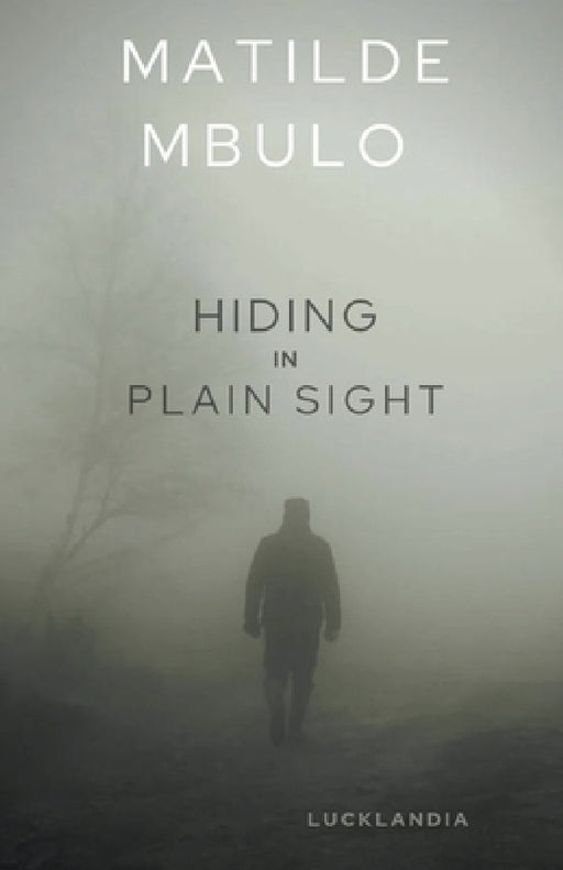 Hiding In Plain Sight by Matilde Mbulo